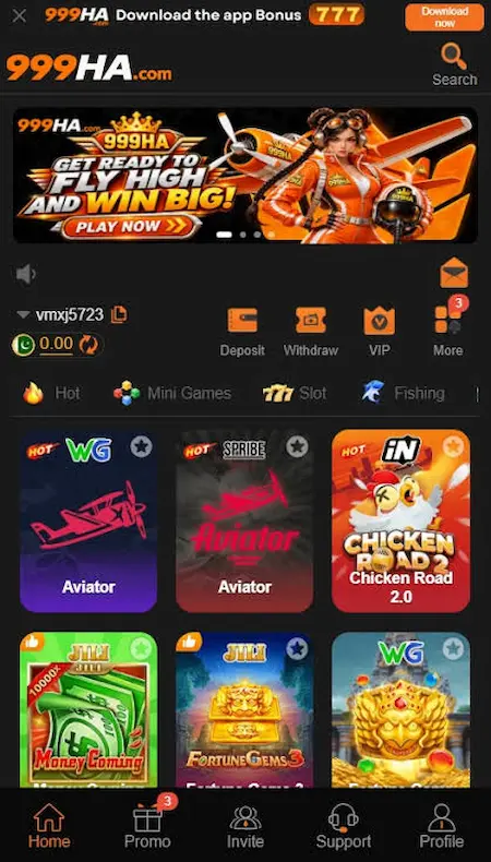999HA Game interface