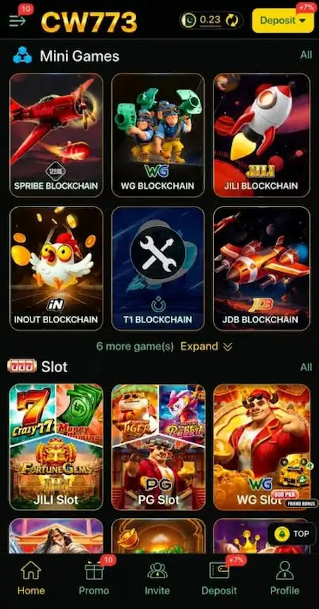 CW773 Game interface