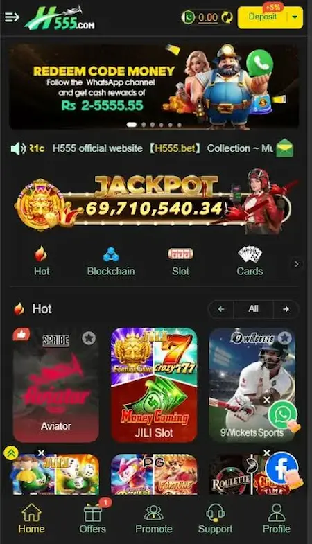 H55 Game interface