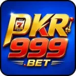 PKR999 Game icon