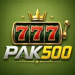 Pak500 Game icon