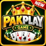 Pakplay Game logo