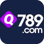 Q789 Game icon